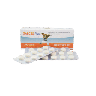 Galces Deworming Tablets For Dogs and Cats 1 Tablet