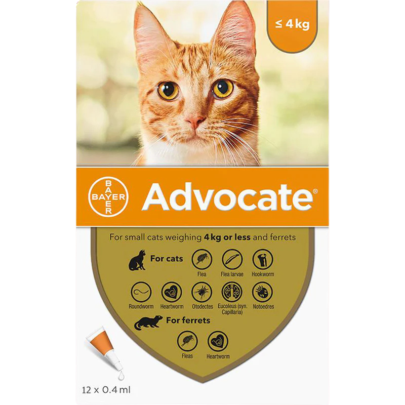 Advocate Spot-On for Small Cats ( up to 4Kg ) X 1 Dose