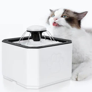 Water Fountain for Cats and Dogs